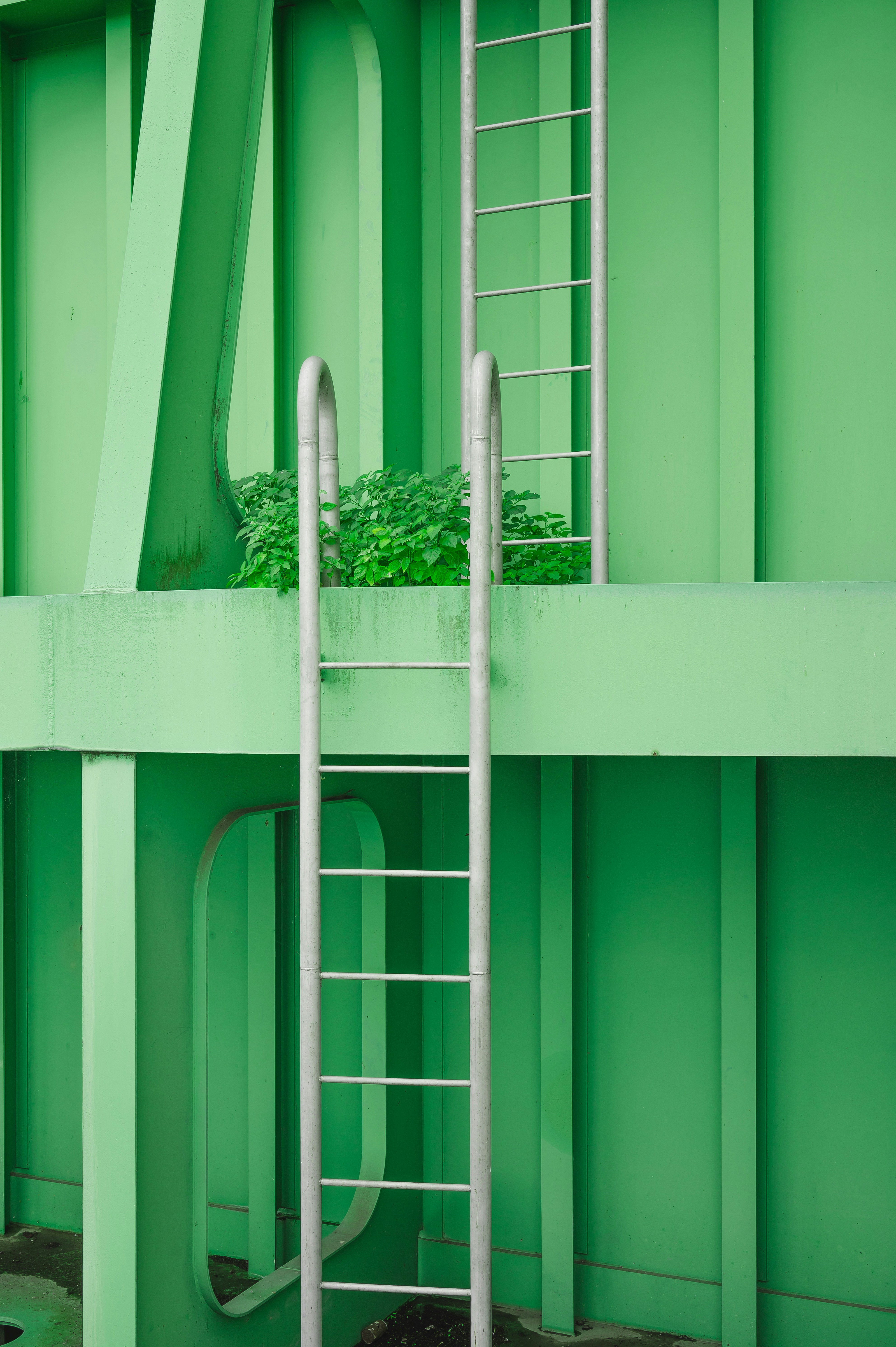 Grüner Container mit Pflanze